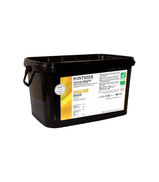 PO0060-Mango Sweetened Puree 90% fruits